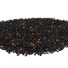 Quinoa black grains