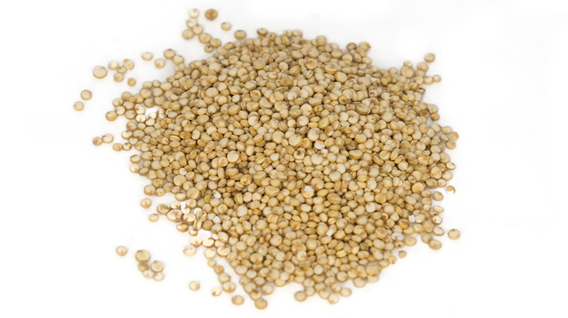 Quinoa white grains