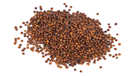 Quinoa red grains